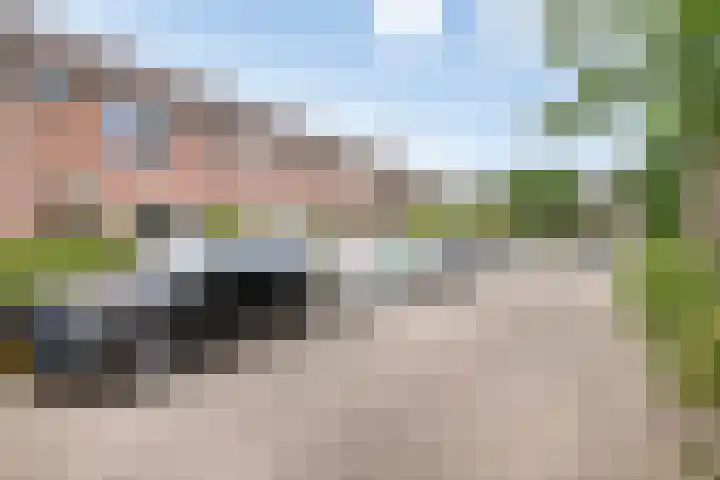 Gelderlandlaan 31 Vlaardingen thumbnail 37