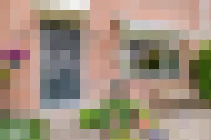 Gelderlandlaan 31 Vlaardingen thumbnail 39