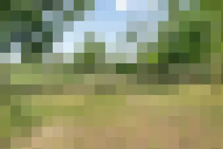 Gelderlandlaan 31 Vlaardingen thumbnail 4