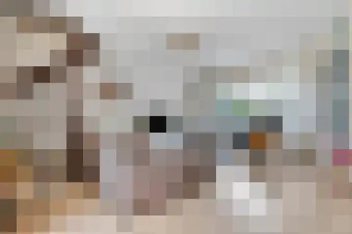 Gelderlandlaan 31 Vlaardingen thumbnail 5