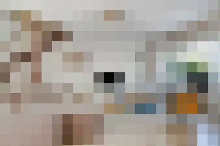 Gelderlandlaan 31 Vlaardingen thumbnail 8