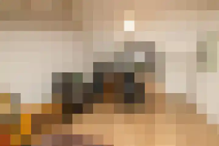 Gelderlandlaan 39 Vlaardingen thumbnail 34