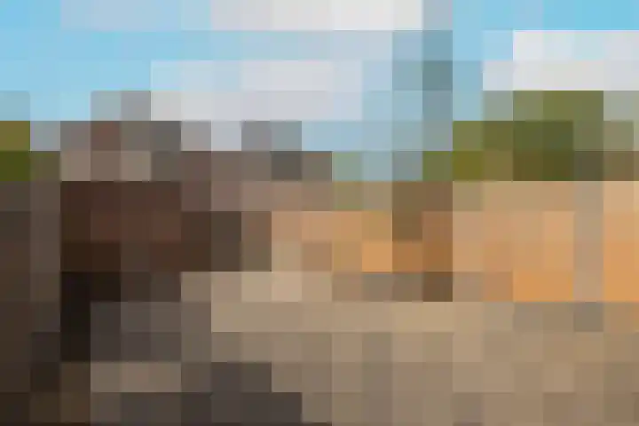 Gelderlandlaan 39 Vlaardingen thumbnail 36