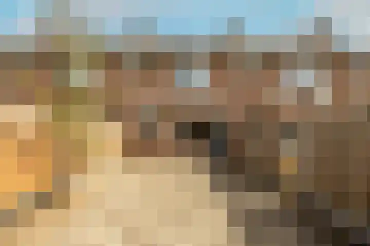 Gelderlandlaan 39 Vlaardingen thumbnail 37