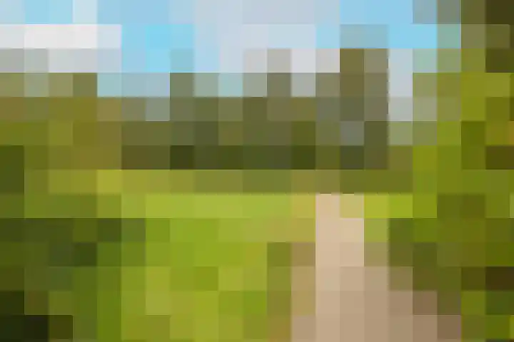 Gelderlandlaan 39 Vlaardingen thumbnail 41