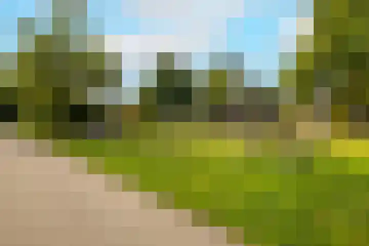 Gelderlandlaan 39 Vlaardingen thumbnail 42