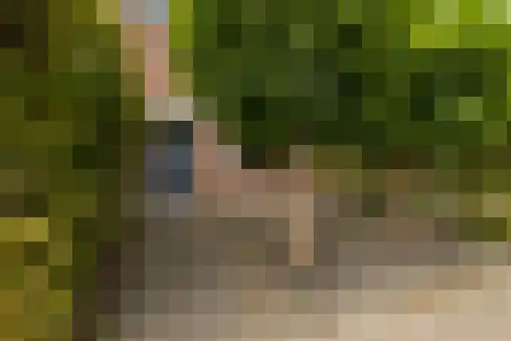 Gelderlandlaan 39 Vlaardingen thumbnail 5