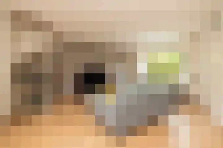 Gelderlandlaan 39 Vlaardingen thumbnail 8