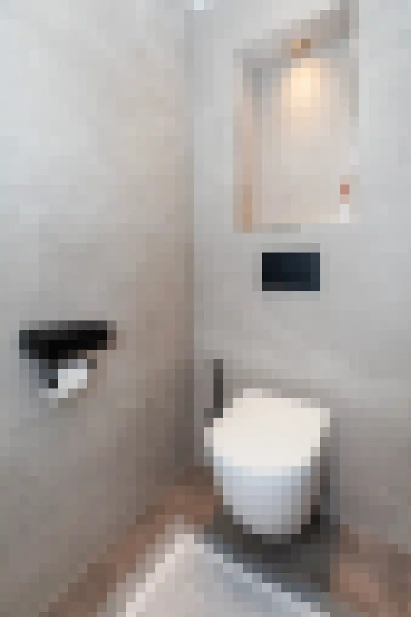 Gelderlandlaan 41 Vlaardingen thumbnail 8