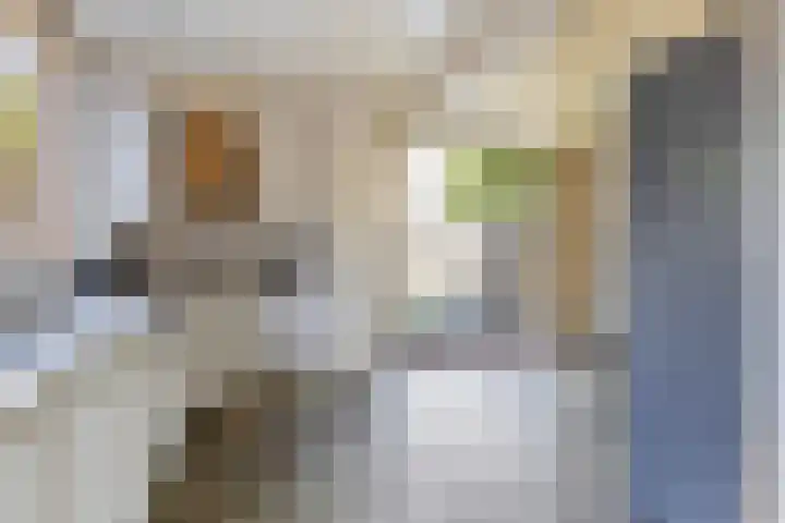 Gelderlandlaan 7 Son en Breugel thumbnail 10