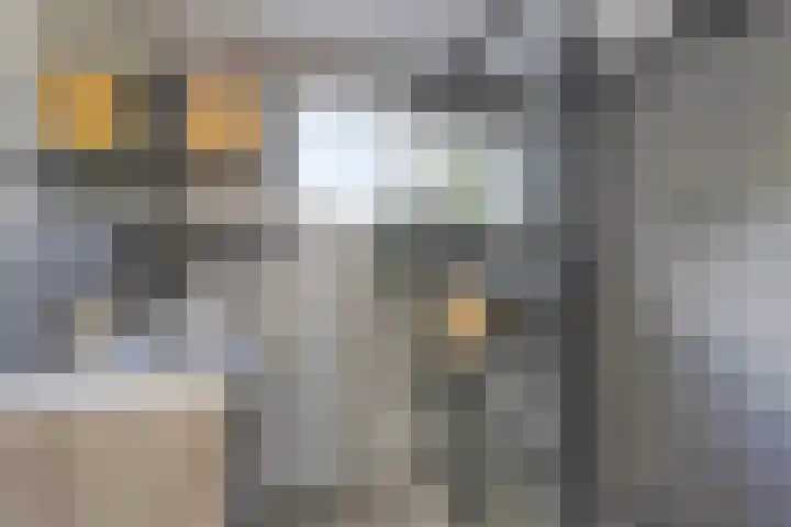 Gelderlandlaan 7 Son en Breugel thumbnail 18