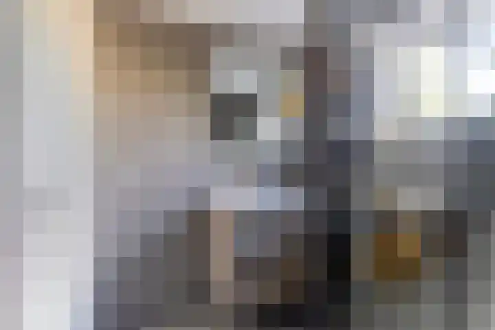 Gelderlandlaan 7 Son en Breugel thumbnail 19