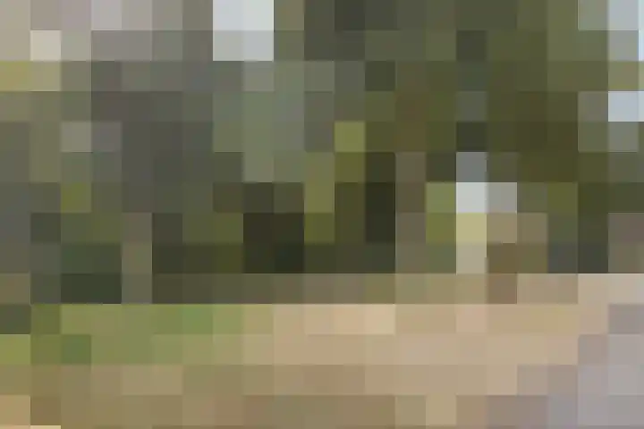 Gelderlandlaan 7 Son en Breugel thumbnail 31