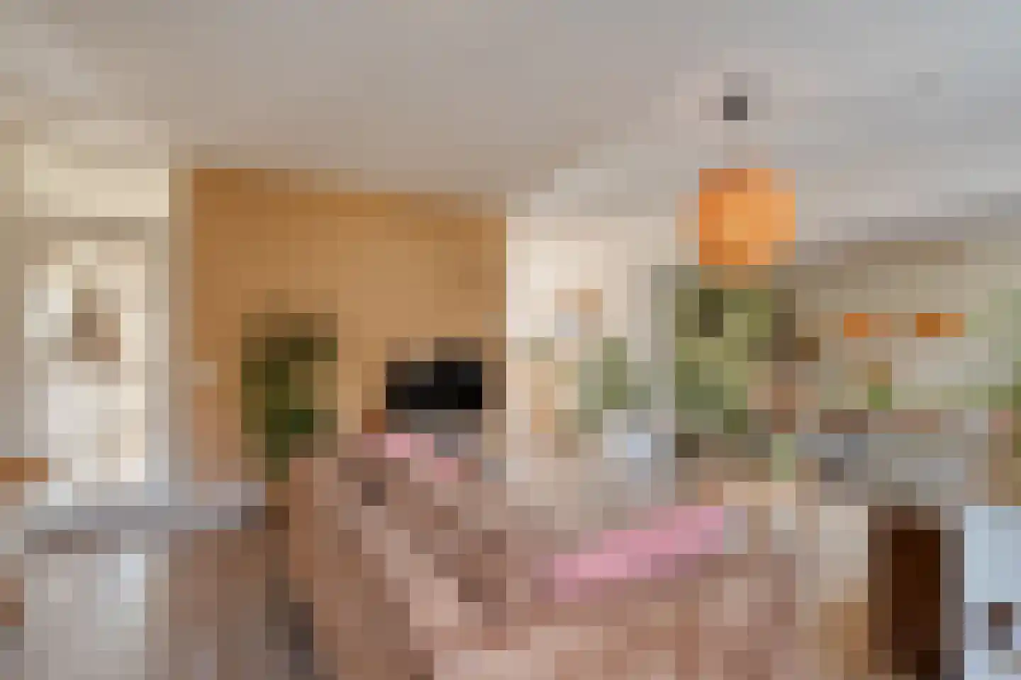 Geldermanmate 1 Zwolle thumbnail 15