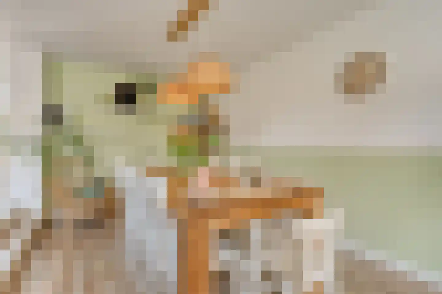 Geldermanmate 1 Zwolle thumbnail 17