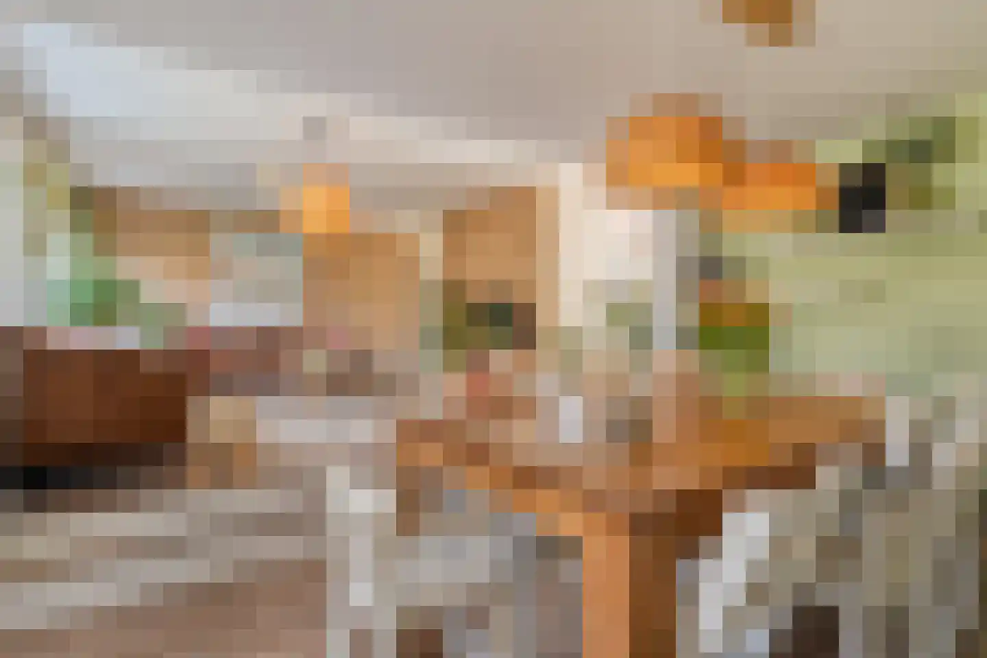 Geldermanmate 1 Zwolle thumbnail 18