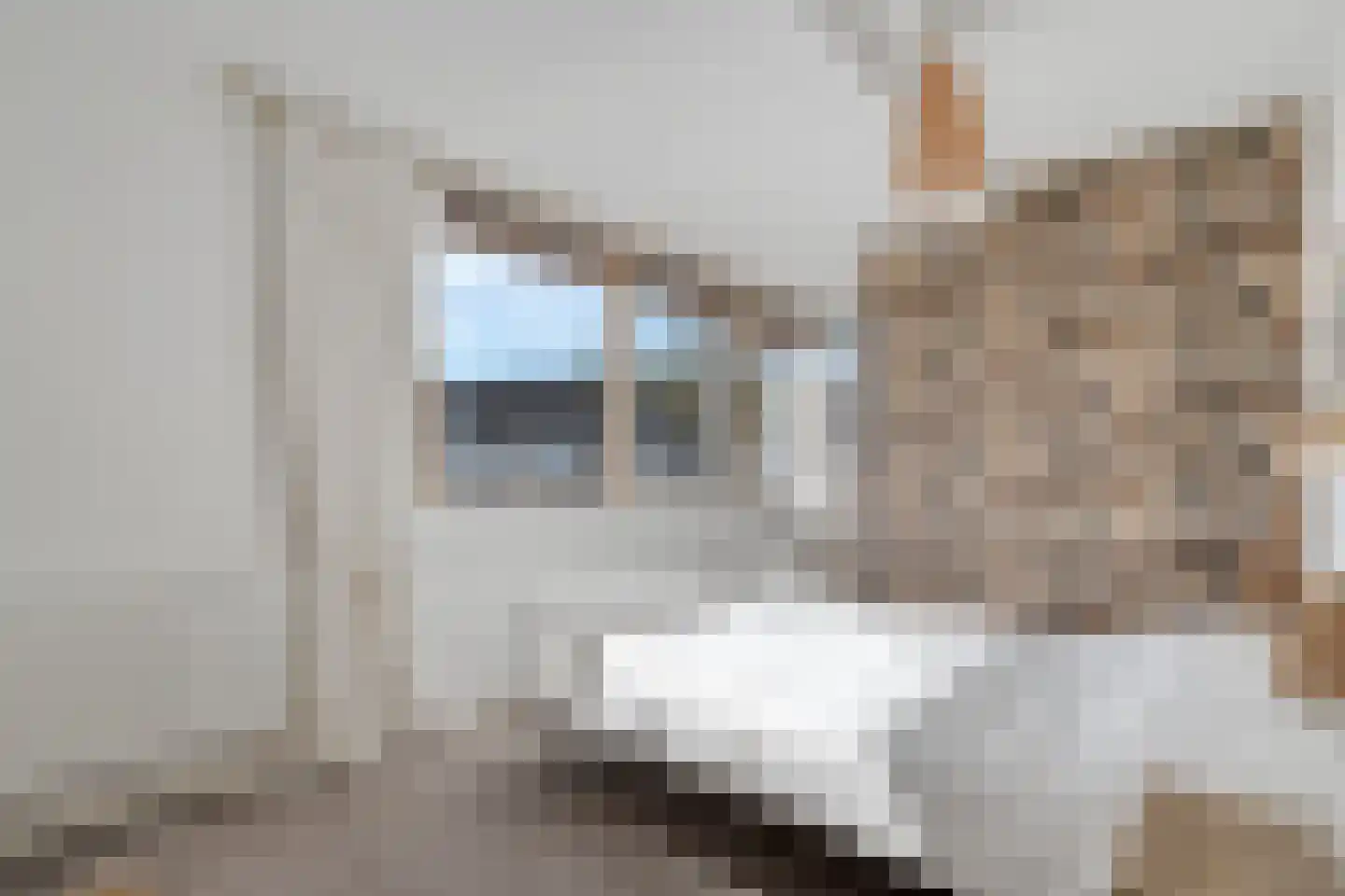 Geldermanmate 1 Zwolle thumbnail 24