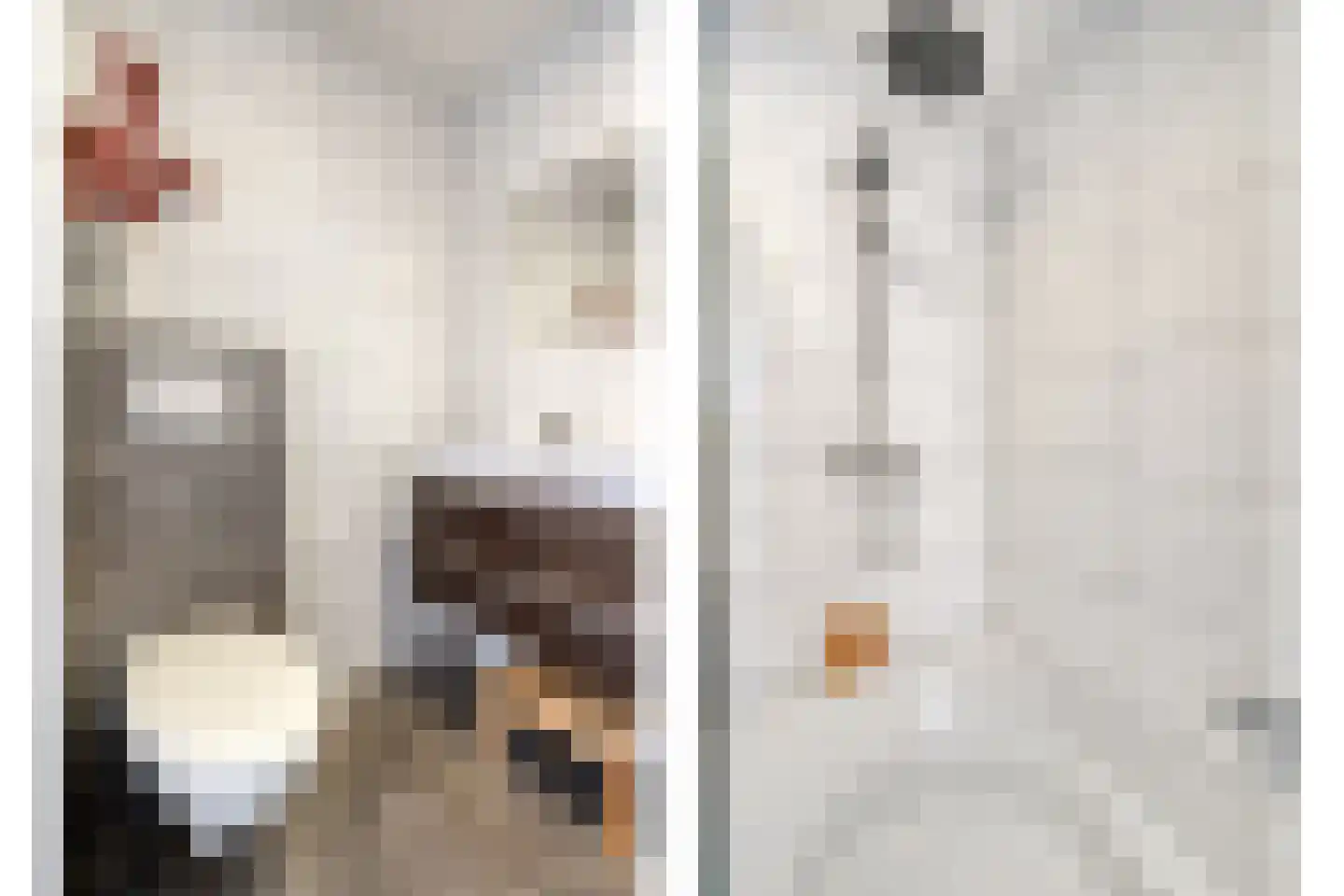 Geldermanmate 1 Zwolle thumbnail 31