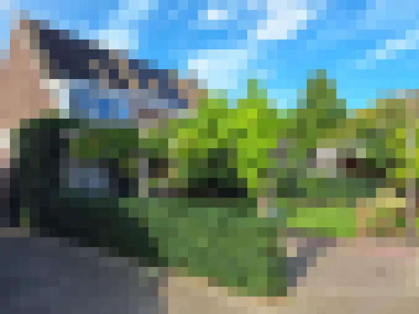 Geldermanmate 1 Zwolle thumbnail 37