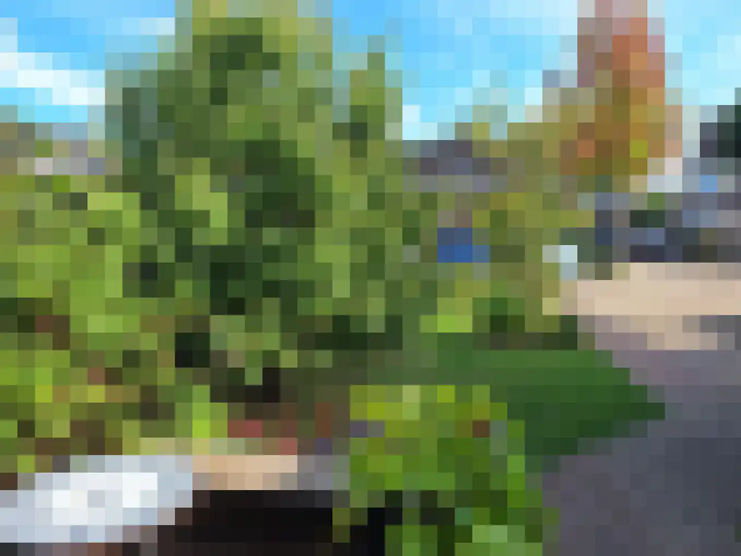 Geldermanmate 1 Zwolle thumbnail 38