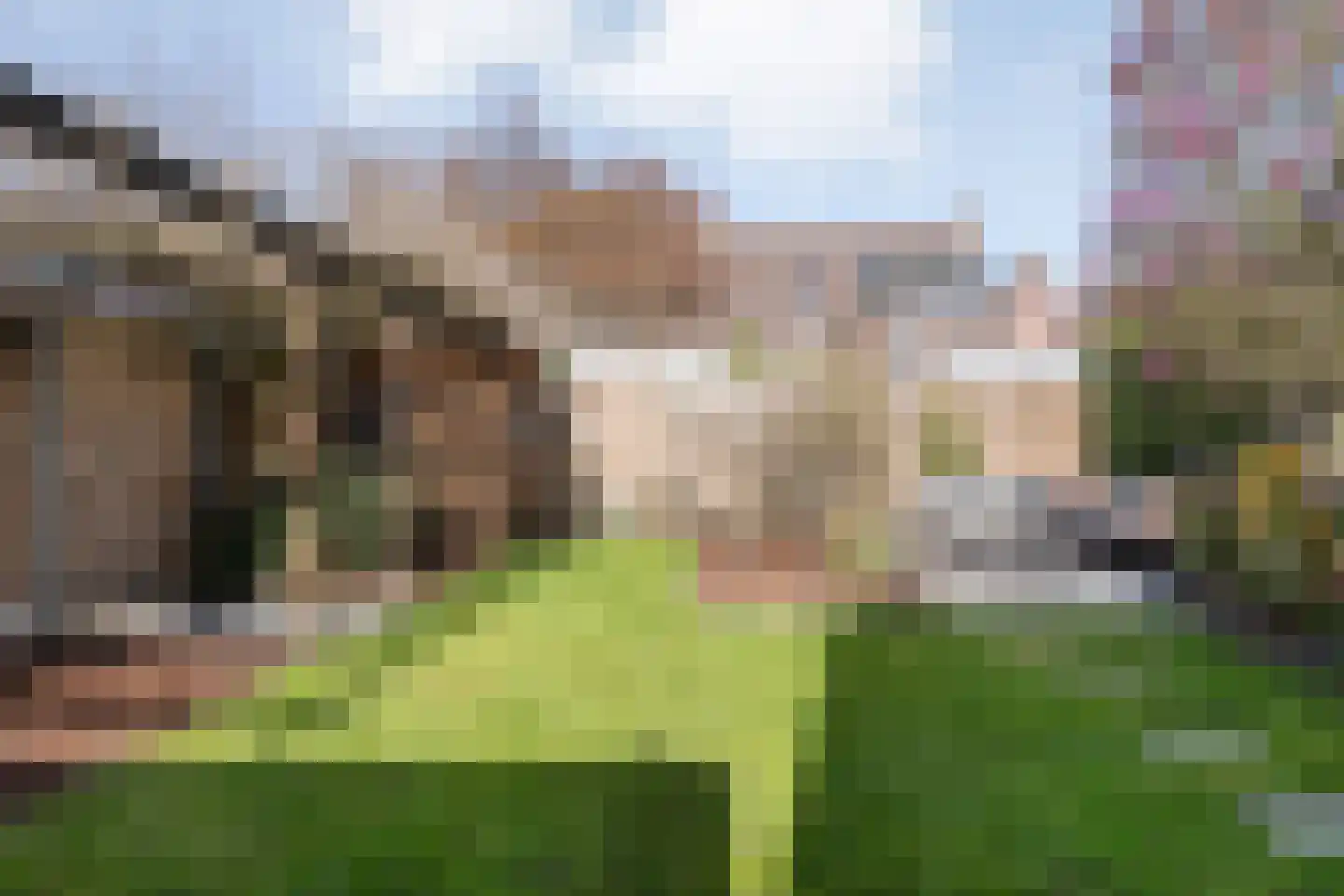 Geldermanmate 1 Zwolle thumbnail 41