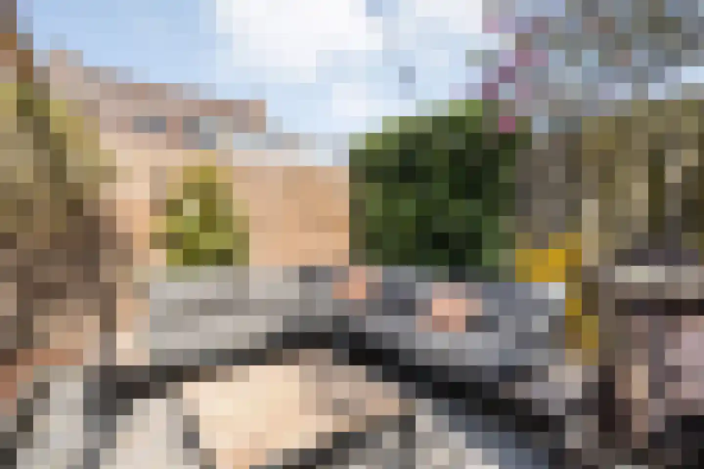 Geldermanmate 1 Zwolle thumbnail 43