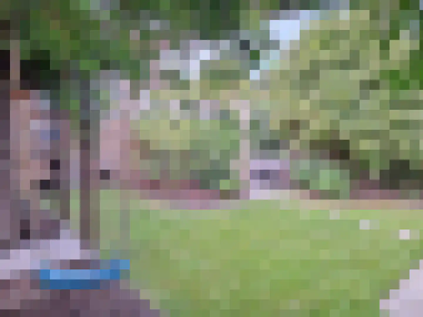Geldermanmate 1 Zwolle thumbnail 46