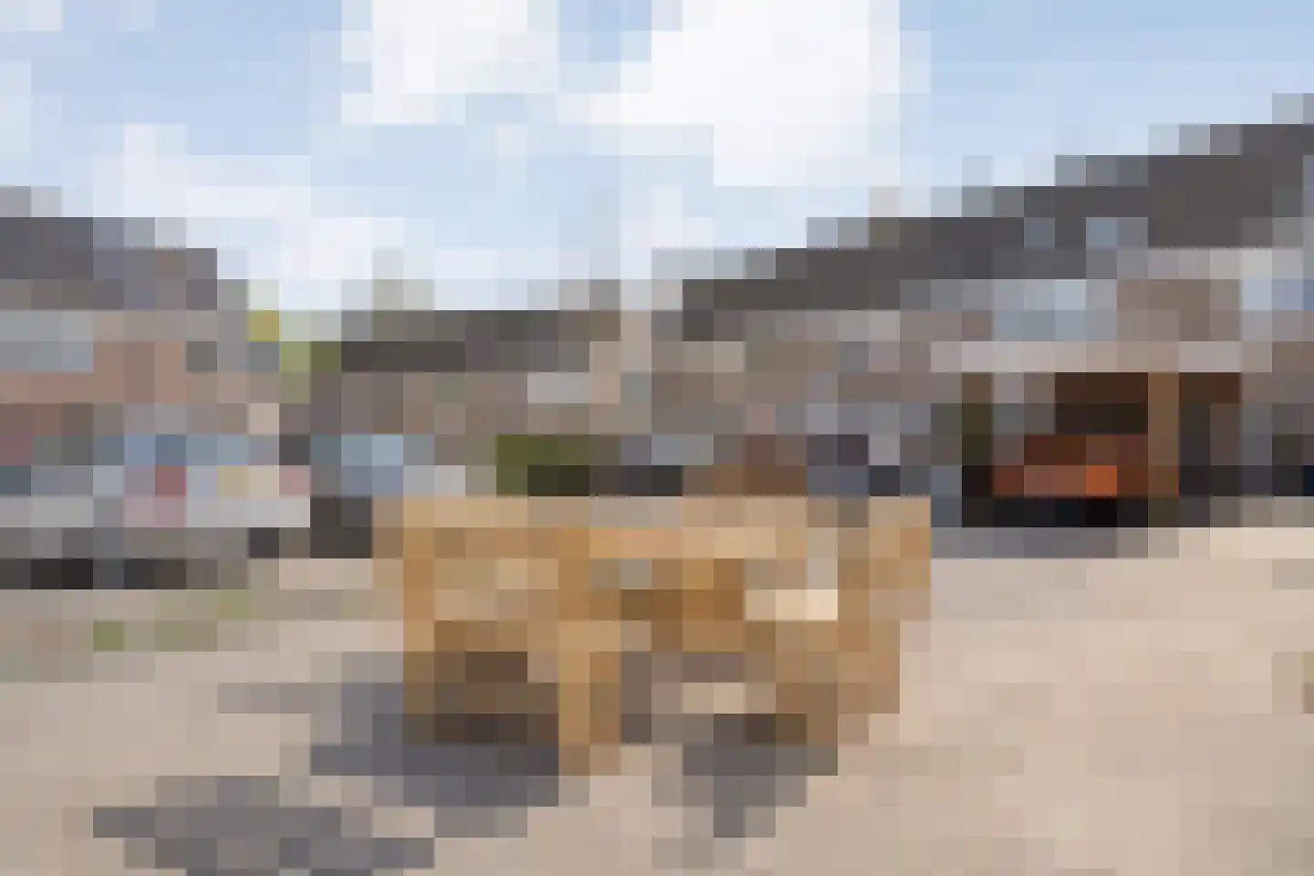Geldermanmate 1 Zwolle thumbnail 50