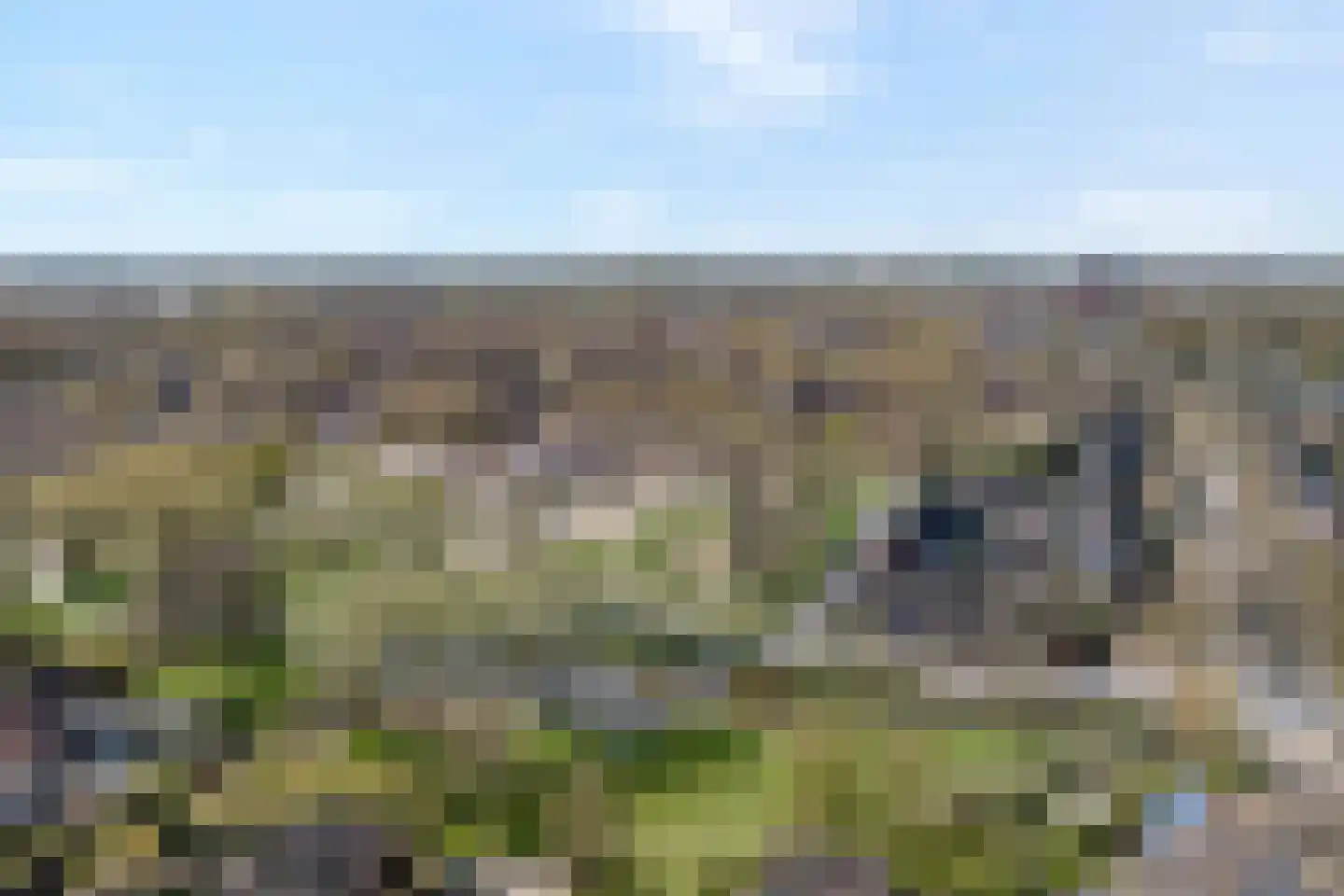 Geldermanmate 1 Zwolle thumbnail 51