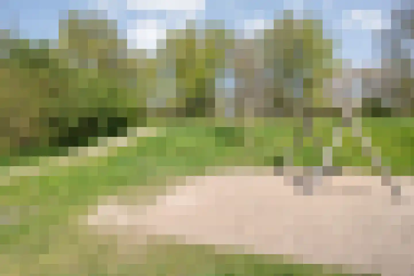 Geldermanmate 1 Zwolle thumbnail 53
