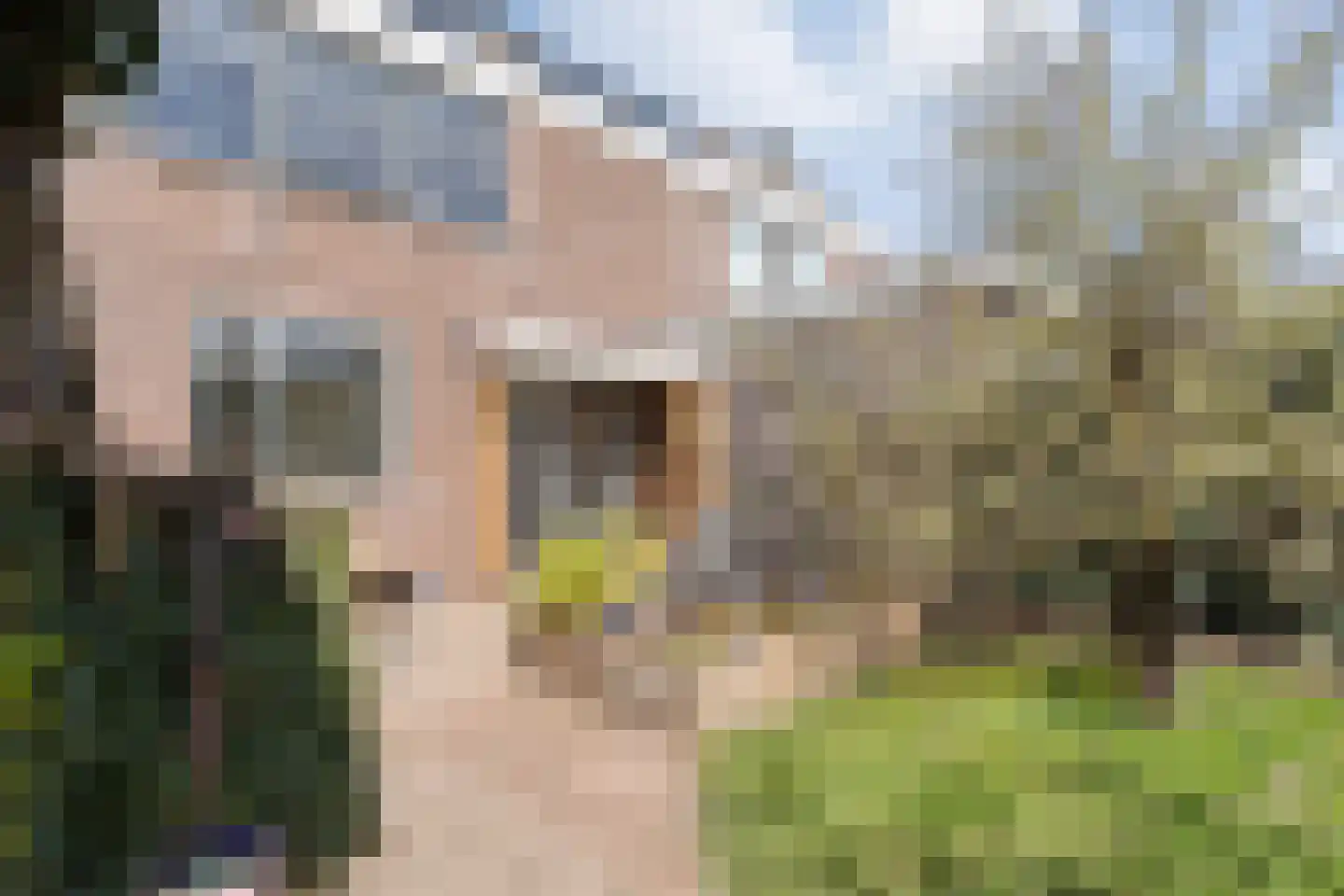 Geldermanmate 1 Zwolle thumbnail 7