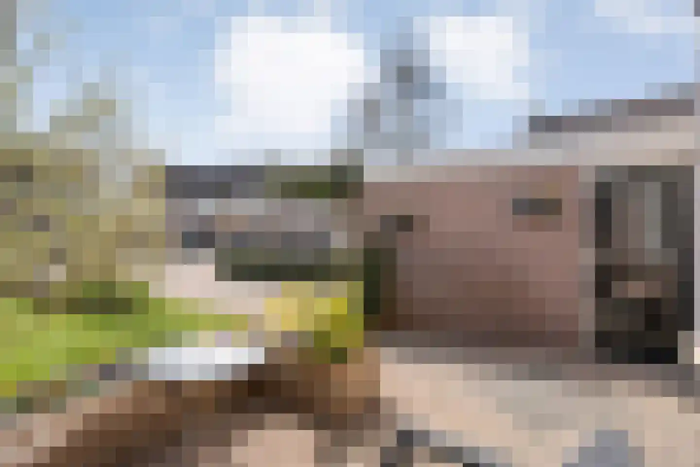 Geldermanmate 1 Zwolle thumbnail 8