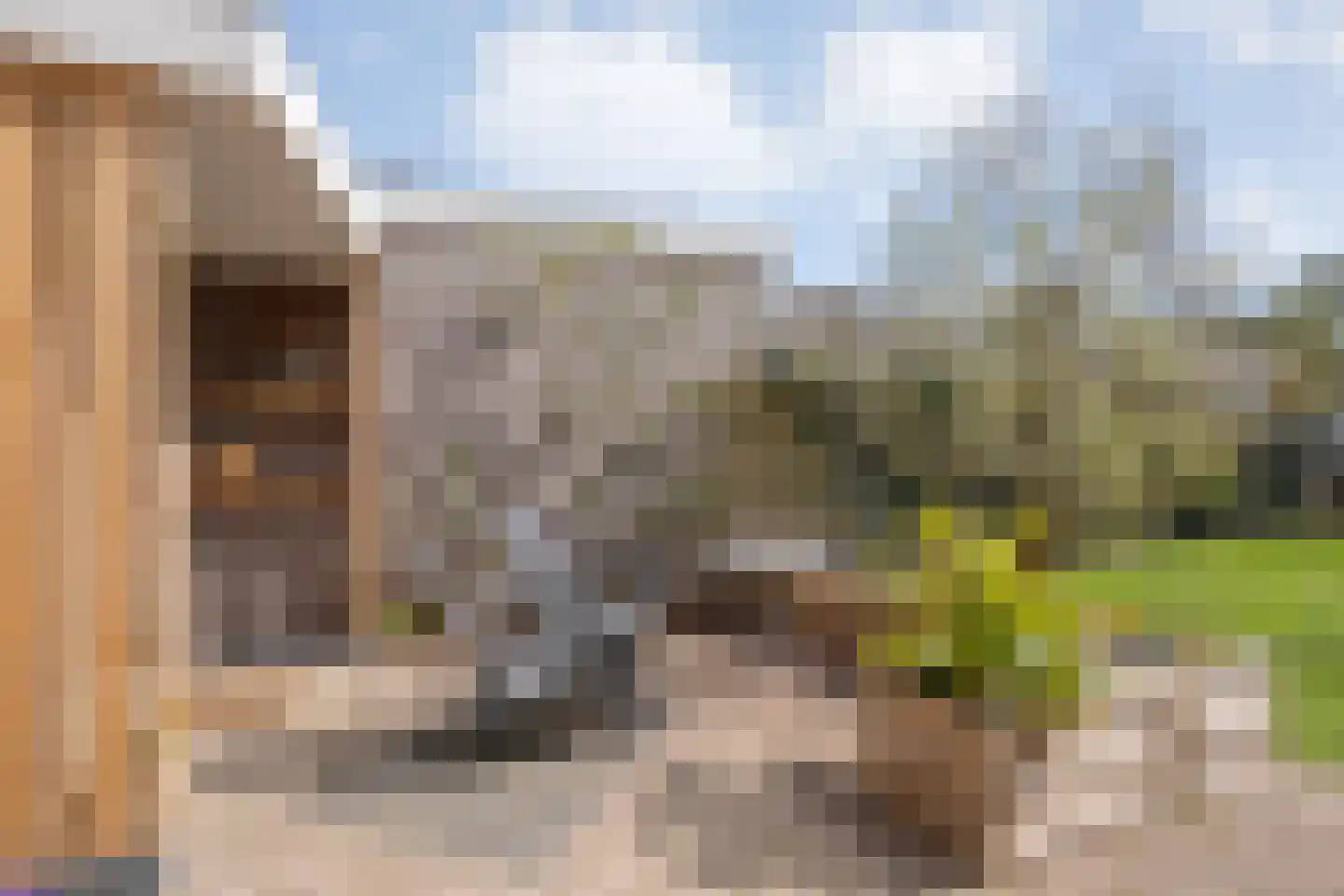 Geldermanmate 1 Zwolle thumbnail 9