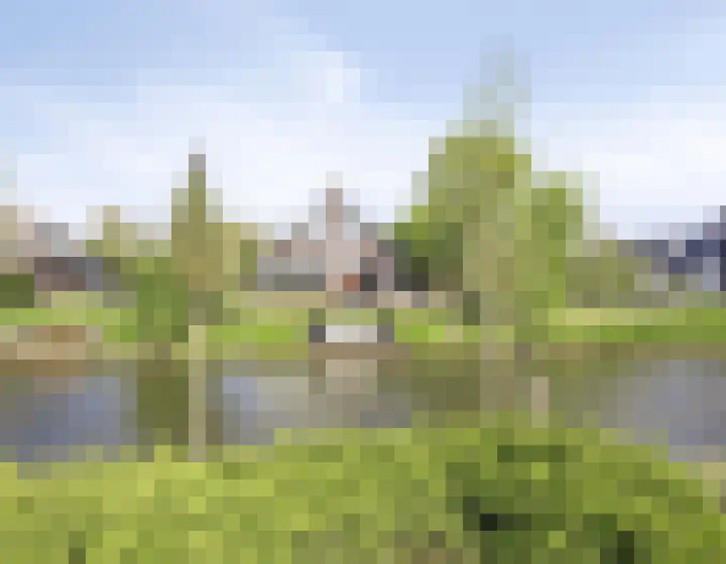 Gelders Benedeneind 6 A Veenendaal thumbnail 5