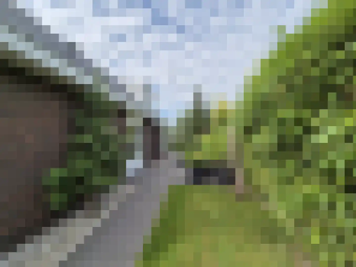 Gelders Benedeneind 6 A Veenendaal thumbnail 52