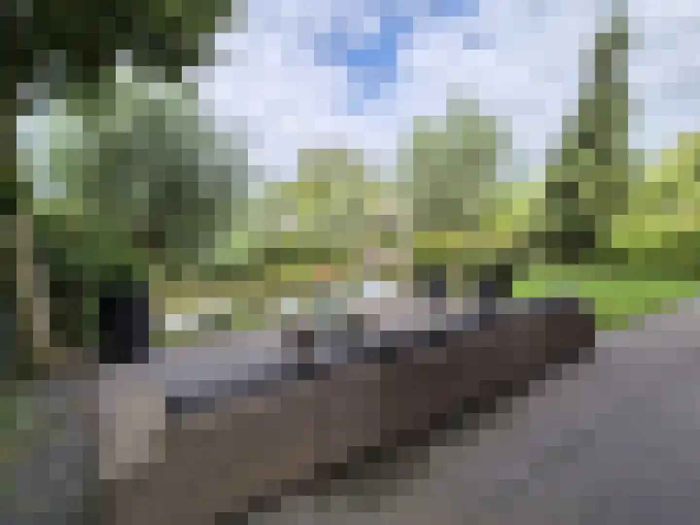 Gelders Benedeneind 6 A Veenendaal thumbnail 66
