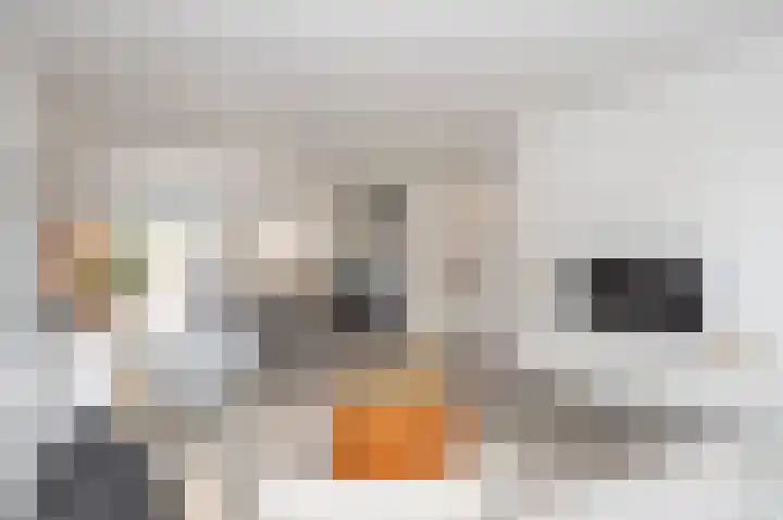 Gelders Overkwartier 10 Nieuwstadt thumbnail 11
