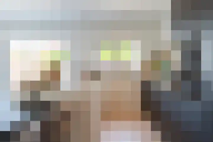 Gelders Overkwartier 10 Nieuwstadt thumbnail 15