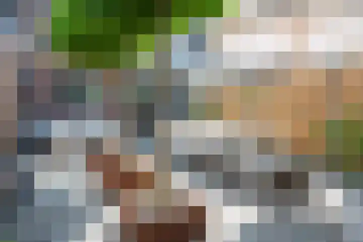 Gelders Overkwartier 10 Nieuwstadt thumbnail 17
