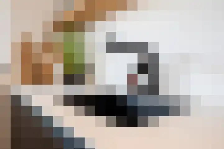 Gelders Overkwartier 10 Nieuwstadt thumbnail 18