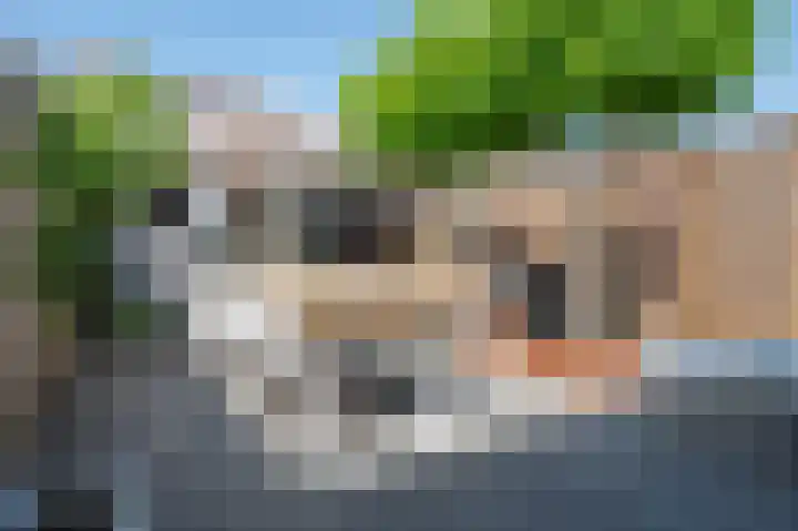 Gelders Overkwartier 10 Nieuwstadt thumbnail 23