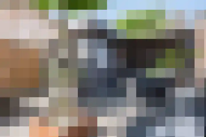 Gelders Overkwartier 10 Nieuwstadt thumbnail 24