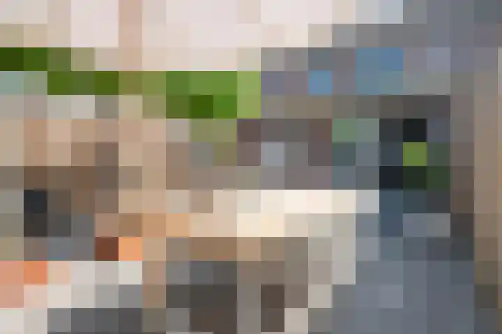 Gelders Overkwartier 10 Nieuwstadt thumbnail 25