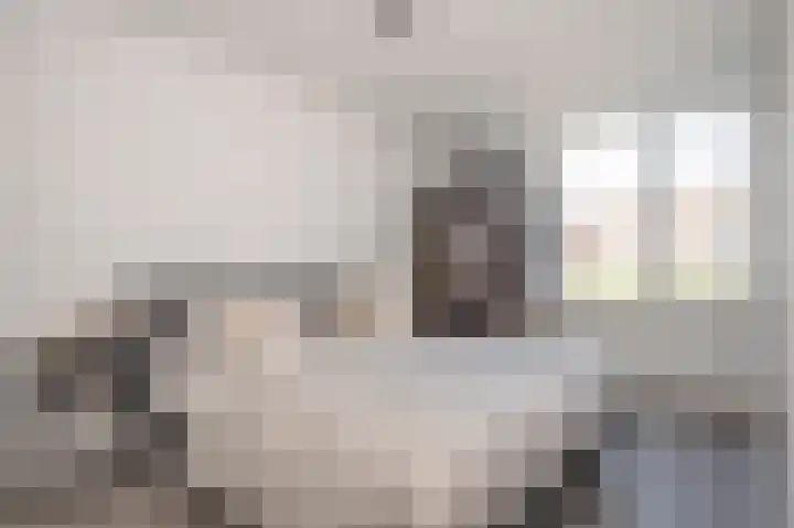 Gelders Overkwartier 10 Nieuwstadt thumbnail 27