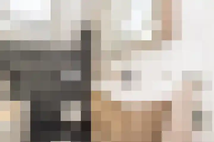 Gelders Overkwartier 10 Nieuwstadt thumbnail 29