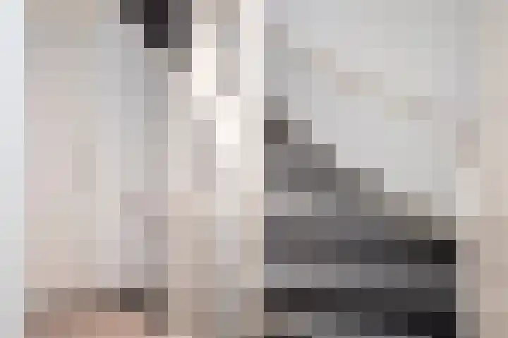Gelders Overkwartier 10 Nieuwstadt thumbnail 32