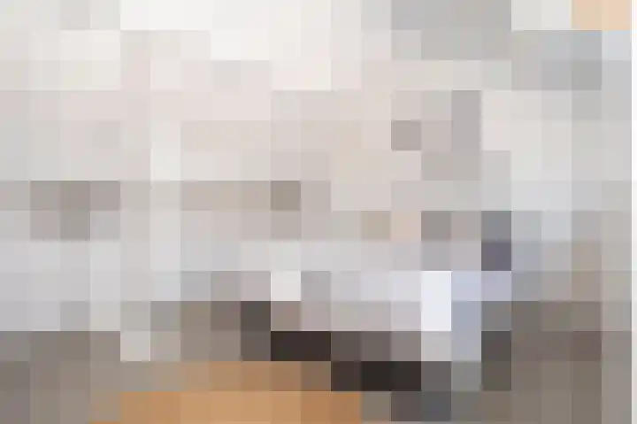 Gelders Overkwartier 10 Nieuwstadt thumbnail 35