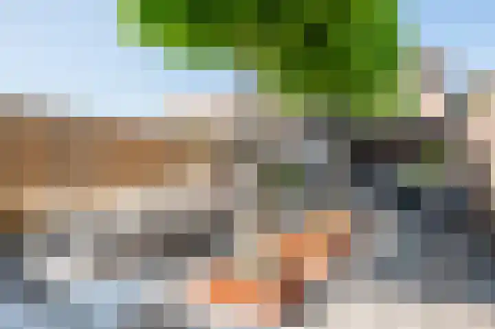 Gelders Overkwartier 10 Nieuwstadt thumbnail 4