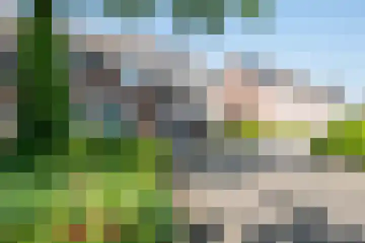 Gelders Overkwartier 10 Nieuwstadt thumbnail 6