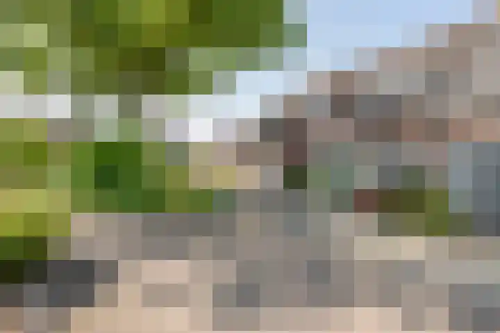 Gelders Overkwartier 10 Nieuwstadt thumbnail 7